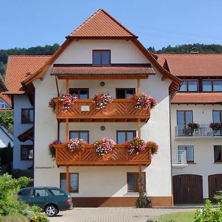 Haus Widenhorn Apartment